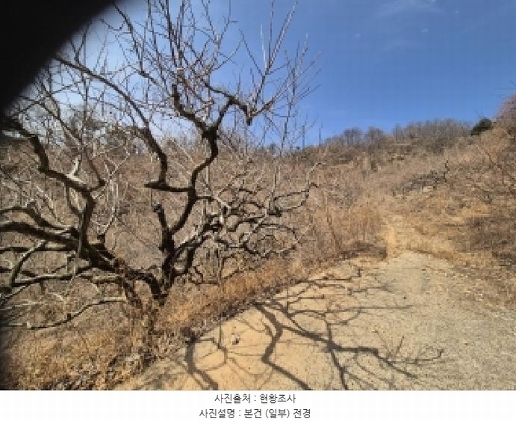 2026타경10176 경상남도 창원시 의창구 북면 상천리 산42-1 임야 경매 이미지