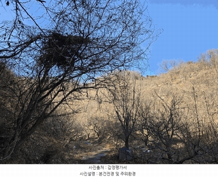2026타경10176 경상남도 창원시 의창구 북면 상천리 산42-1 임야 경매 이미지