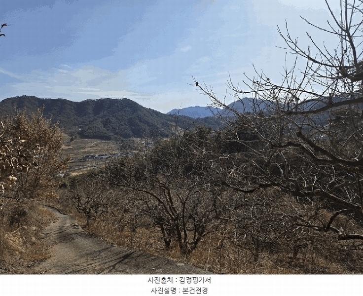 2026타경10176 경상남도 창원시 의창구 북면 상천리 산42-1 임야 경매 이미지