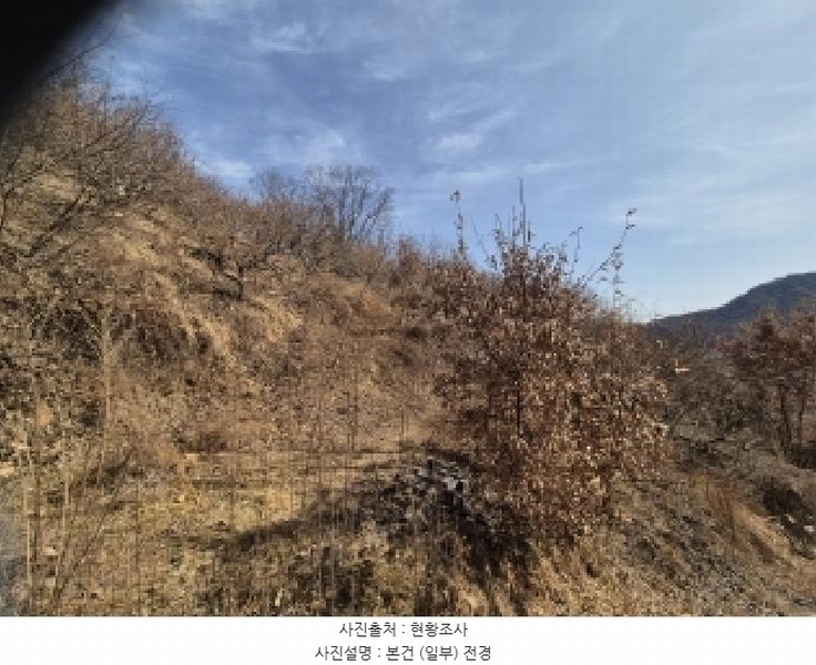 2026타경10176 경상남도 창원시 의창구 북면 상천리 산42-1 임야 경매 이미지
