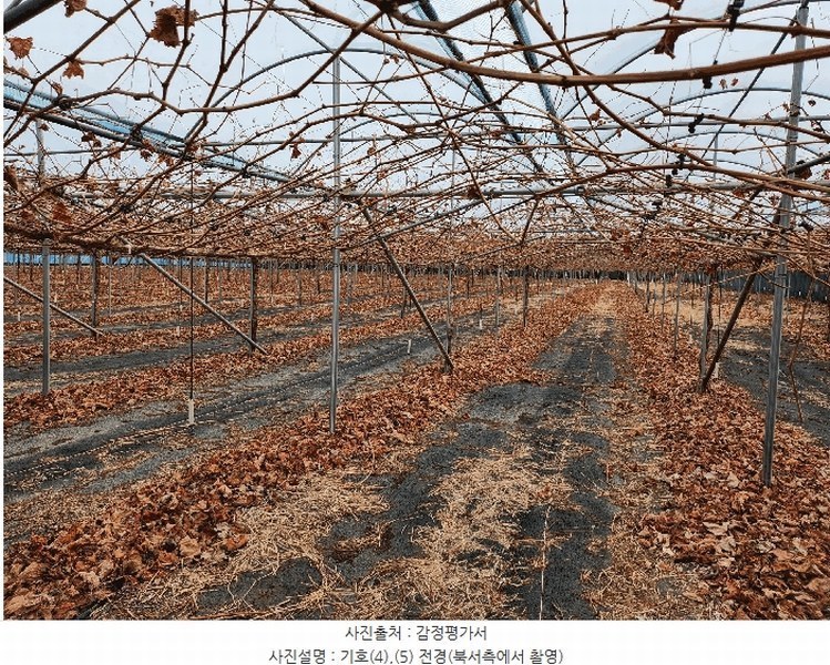 2025타경649 경상북도 영천시 조교동 72-1 농지 경매 이미지