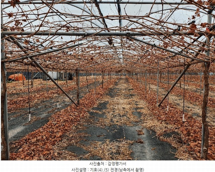 2025타경649 경상북도 영천시 조교동 72-1 농지 경매 이미지