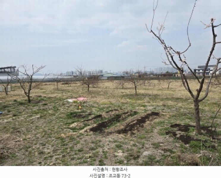 2025타경649 경상북도 영천시 조교동 72-1 농지 경매 이미지