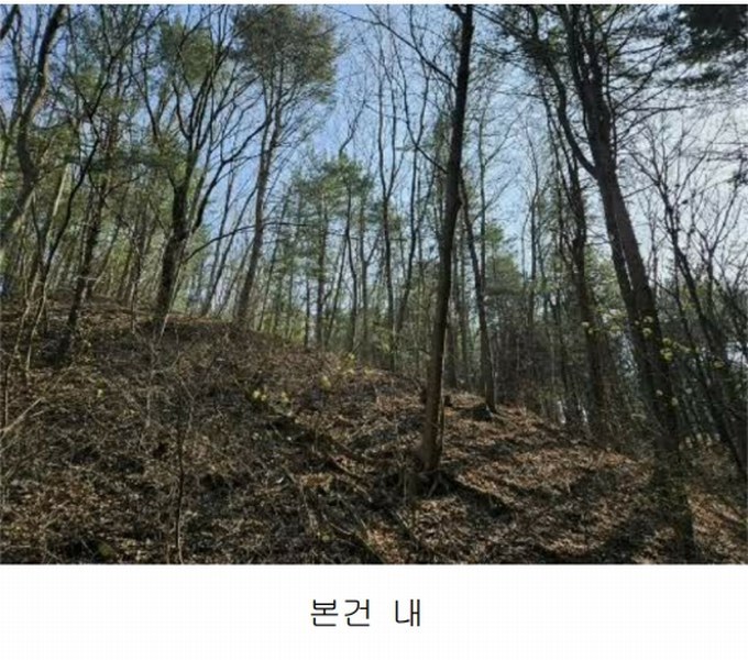 2024타경85021 경기도 가평군 상면 행현리 산226 임야 경매 이미지