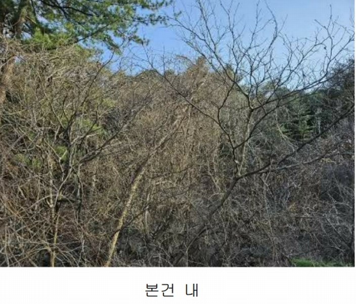 2024타경85021 경기도 가평군 상면 행현리 산226 임야 경매 이미지