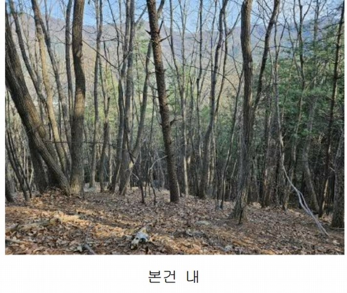 2024타경85021 경기도 가평군 상면 행현리 산226 임야 경매 이미지