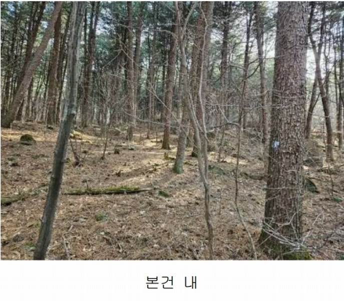 2024타경85021 경기도 가평군 상면 행현리 산226 임야 경매 이미지