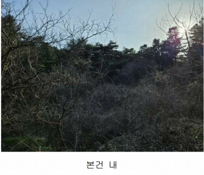 2024타경85021 경기도 가평군 상면 행현리 산226 임야 경매 이미지