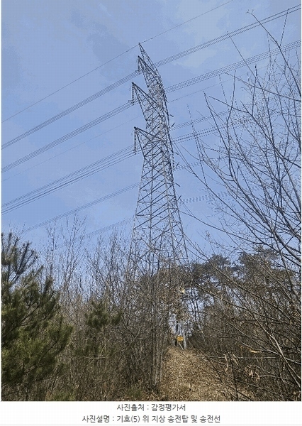 2025타경27 충청남도 공주시 탄천면 대학리 산77-1 임야 경매 이미지