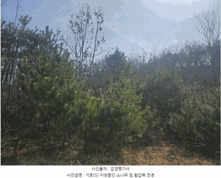 2025타경27 충청남도 공주시 탄천면 대학리 산77-1 임야 경매 이미지