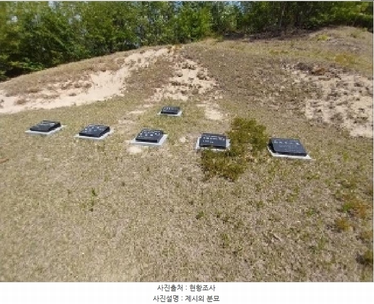 2025타경27 충청남도 공주시 탄천면 대학리 산77-1 임야 경매 이미지