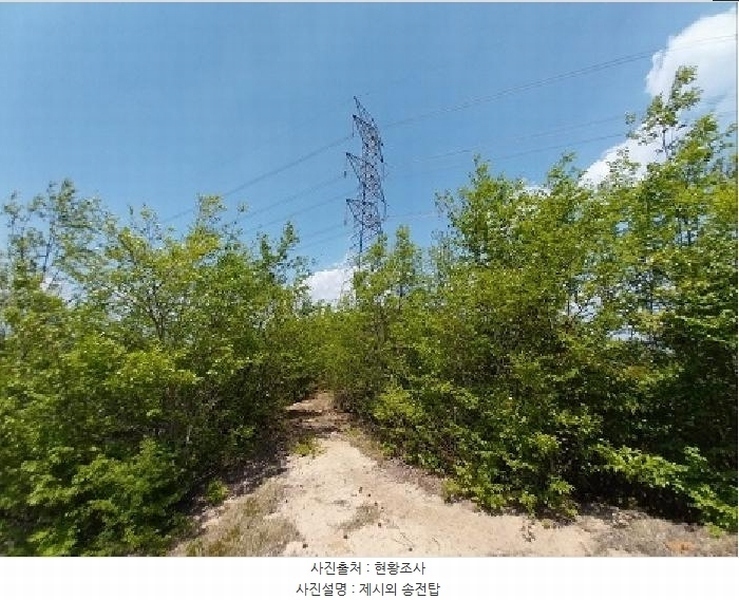 2025타경27 충청남도 공주시 탄천면 대학리 산77-1 임야 경매 이미지