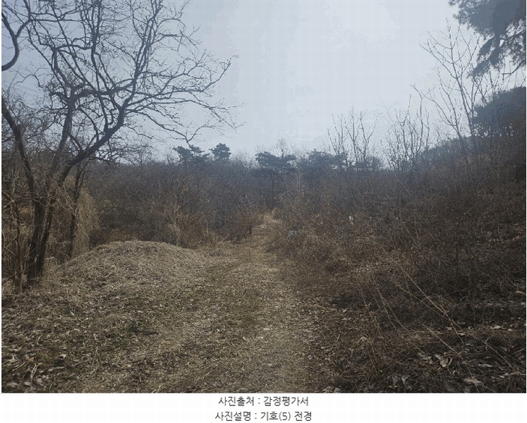 2025타경27 충청남도 공주시 탄천면 대학리 산77-1 임야 경매 이미지