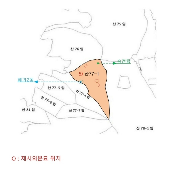 2025타경27 충청남도 공주시 탄천면 대학리 산77-1 임야 경매 이미지