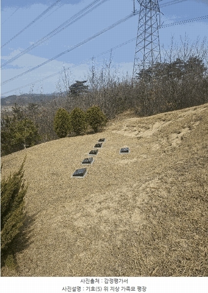 2025타경27 충청남도 공주시 탄천면 대학리 산77-1 임야 경매 이미지