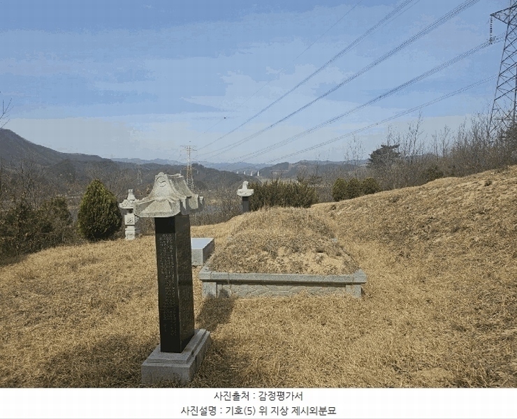 2025타경27 충청남도 공주시 탄천면 대학리 산77-1 임야 경매 이미지