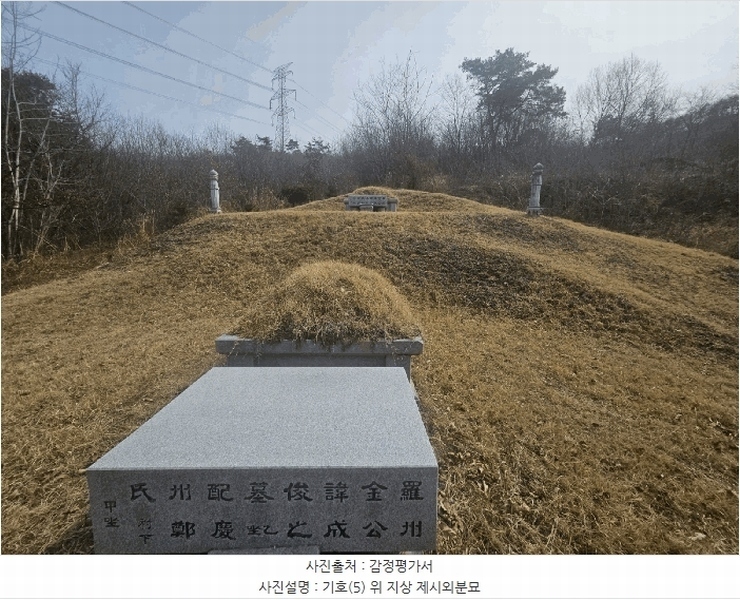 2025타경27 충청남도 공주시 탄천면 대학리 산77-1 임야 경매 이미지