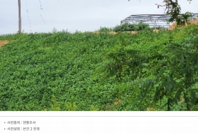 2022타경1229 충청북도 제천시 봉양읍 미당리 931-6 과수원 경매 이미지