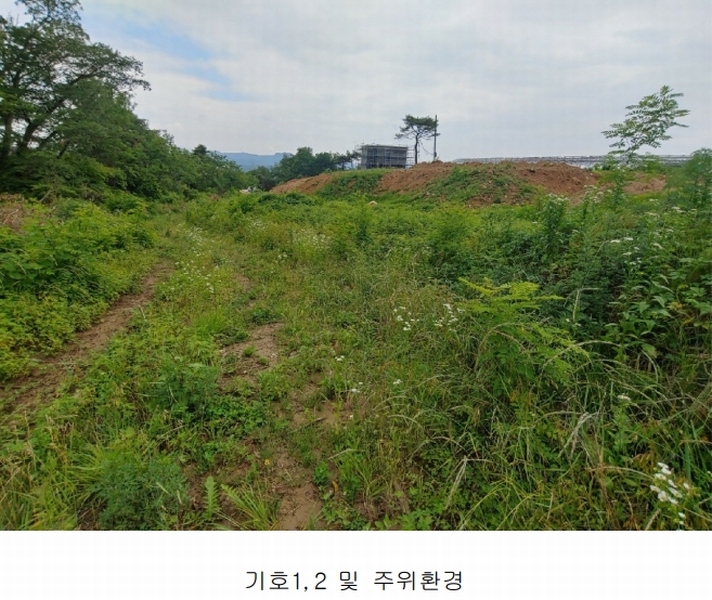 2022타경1229 충청북도 제천시 봉양읍 미당리 931-6 과수원 경매 이미지