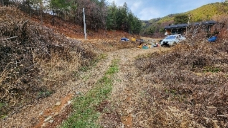 2022타경1229 충청북도 제천시 봉양읍 미당리 931-6 과수원 경매 이미지