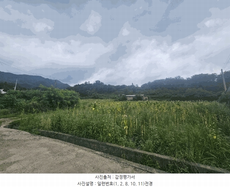 2025타경5373 충청북도 제천시 신월동 738-13 과수원 경매 이미지
