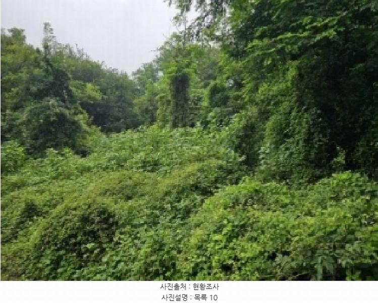 2025타경5373 충청북도 제천시 신월동 738-13 과수원 경매 이미지