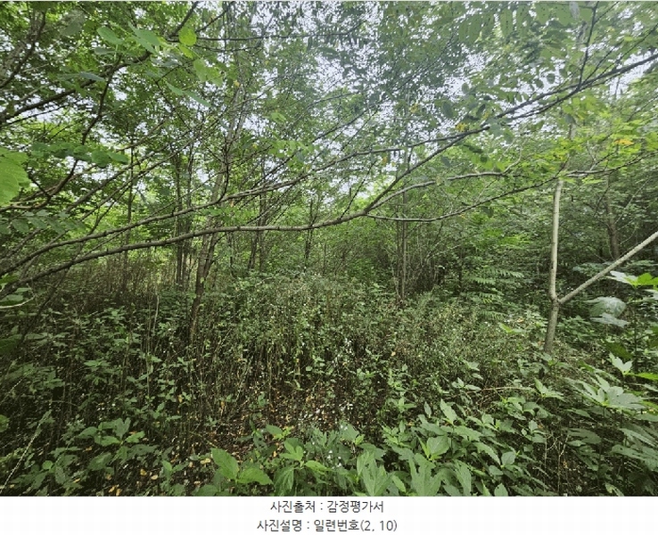 2025타경5373 충청북도 제천시 신월동 738-13 과수원 경매 이미지