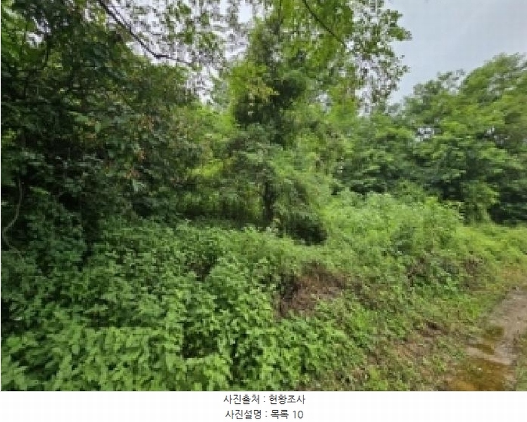 2025타경5373 충청북도 제천시 신월동 738-13 과수원 경매 이미지