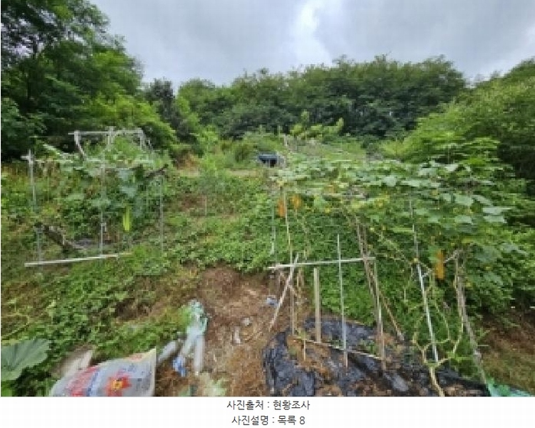 2025타경5373 충청북도 제천시 신월동 739-3 농지 경매 이미지
