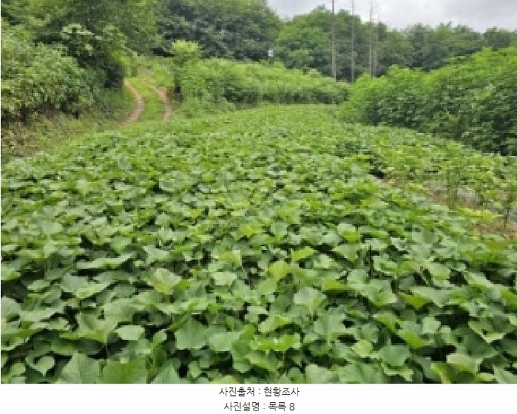 2025타경5373 충청북도 제천시 신월동 739-3 농지 경매 이미지