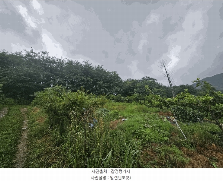 2025타경5373 충청북도 제천시 신월동 739-3 농지 경매 이미지
