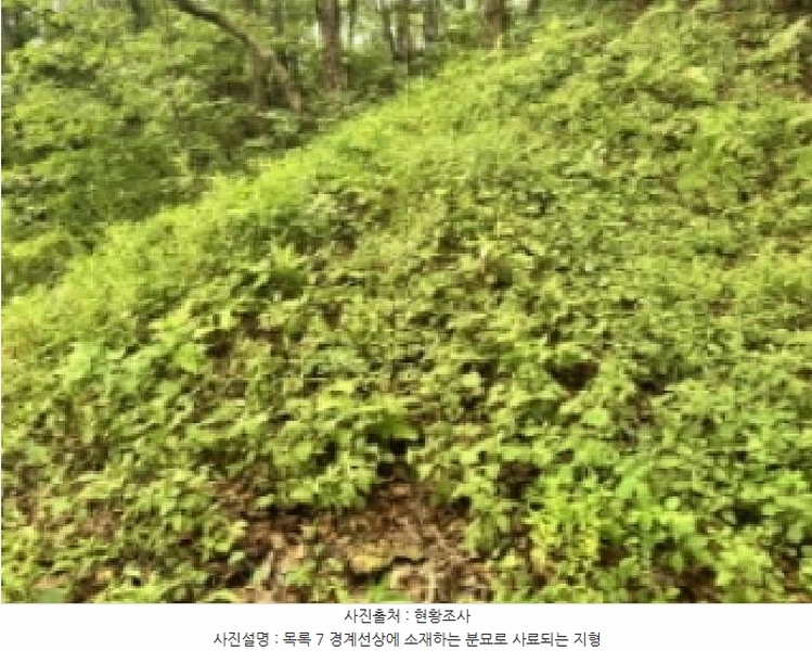 2025타경5373 충청북도 제천시 신월동 1133-2 임야 경매 이미지