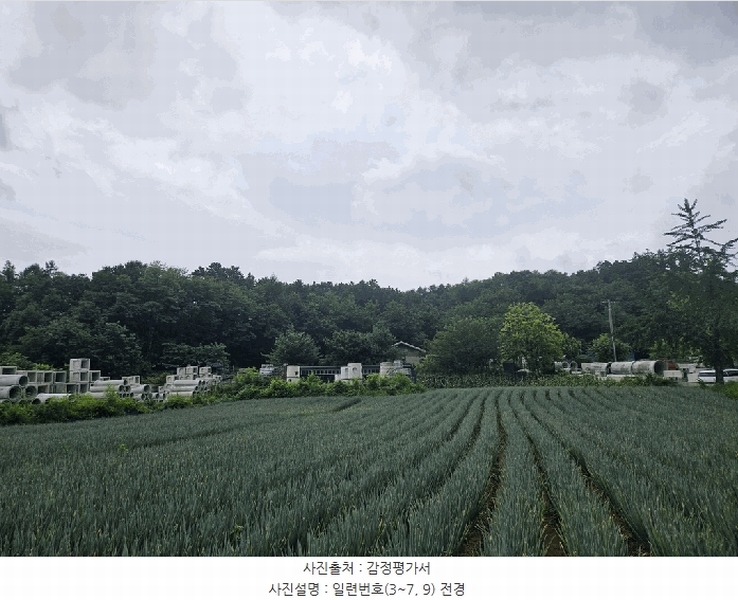2025타경5373 충청북도 제천시 신월동 1133-2 임야 경매 이미지