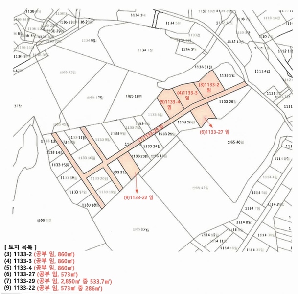 2025타경5373 충청북도 제천시 신월동 1133-2 임야 경매 이미지