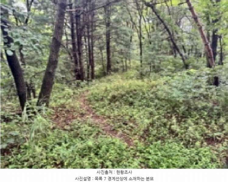 2025타경5373 충청북도 제천시 신월동 1133-2 임야 경매 이미지