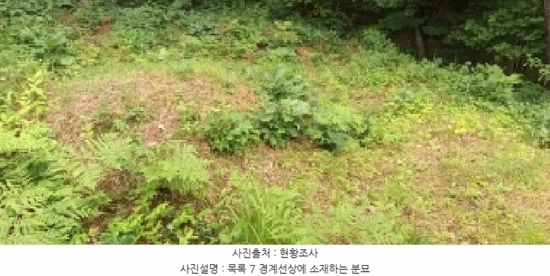 2025타경5373 충청북도 제천시 신월동 1133-2 임야 경매 이미지