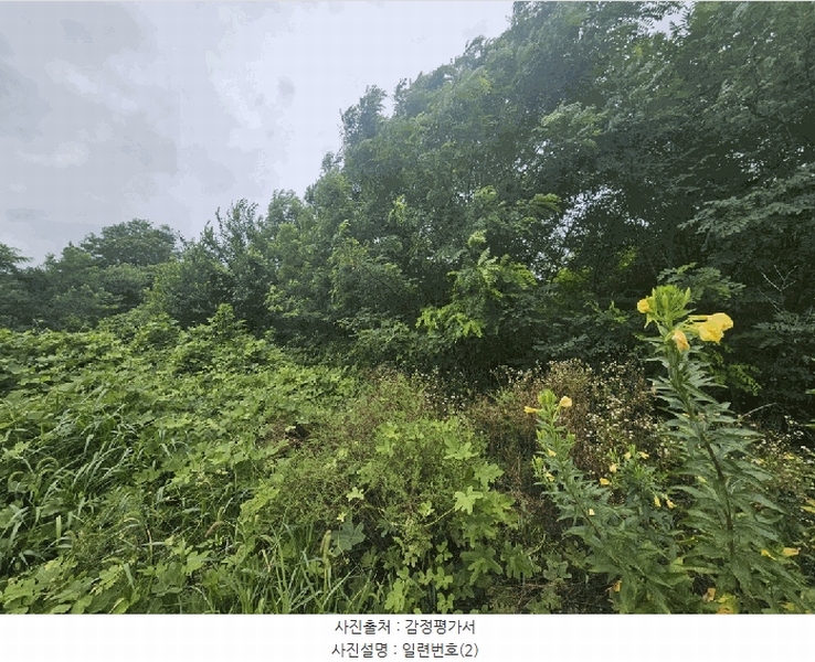 2025타경5373 충청북도 제천시 신월동 738-1 과수원 경매 이미지