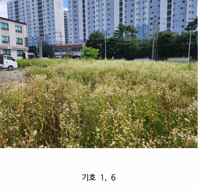 2025타경5377 충청북도 제천시 왕암동 89-77 농지 경매 이미지