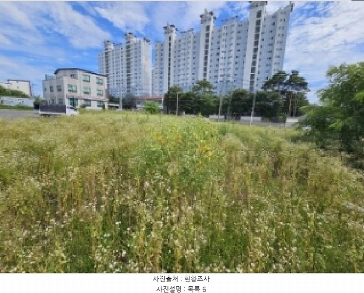 2025타경5377 충청북도 제천시 왕암동 89-77 농지 경매 이미지