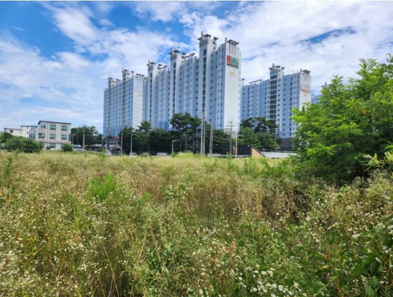 2025타경5377 충청북도 제천시 왕암동 89-77 농지 경매 이미지