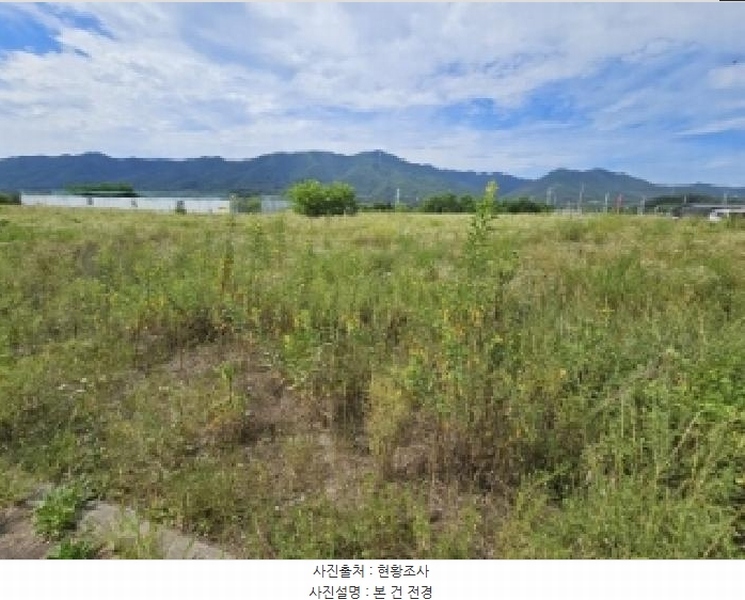 2025타경5377 충청북도 제천시 왕암동 89-66 도로 경매 이미지