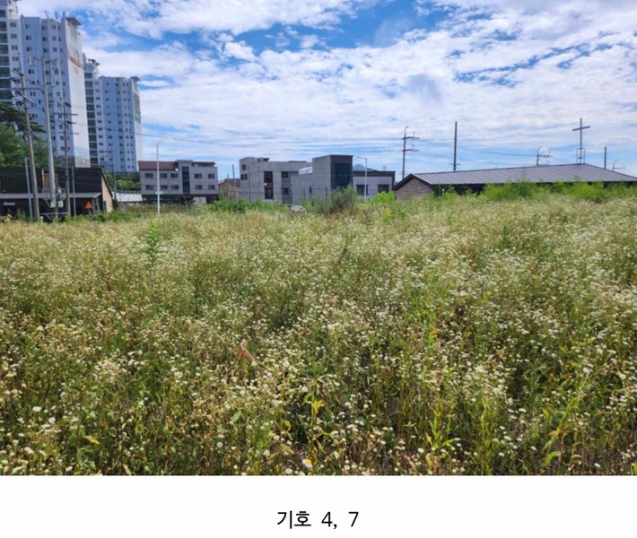 2025타경5377 충청북도 제천시 왕암동 89-33 농지 경매 이미지