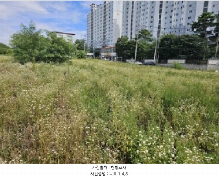 2025타경5377 충청북도 제천시 왕암동 89-33 농지 경매 이미지