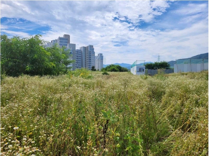 2025타경5377 충청북도 제천시 왕암동 89-33 농지 경매 이미지