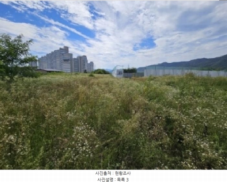 2025타경5377 충청북도 제천시 왕암동 89-33 농지 경매 이미지
