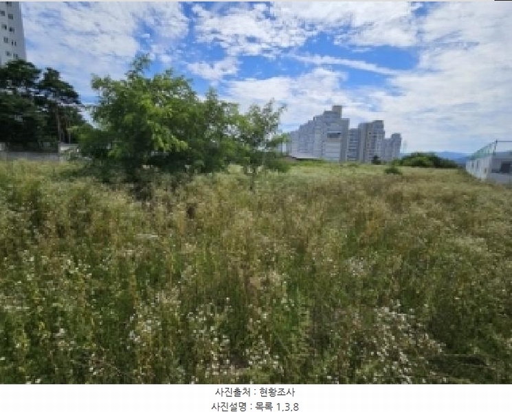 2025타경5377 충청북도 제천시 왕암동 89-33 농지 경매 이미지