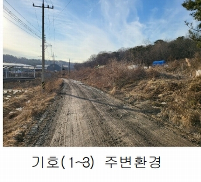 2024타경183 경기도 화성시 장안면 장안리 산5-5 임야 경매 이미지