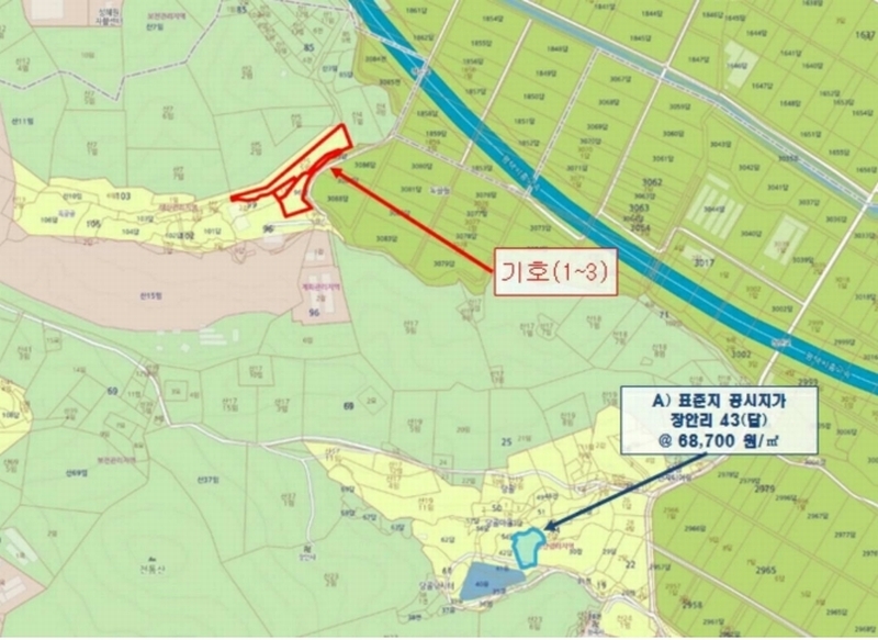 2024타경183 경기도 화성시 장안면 장안리 산5-5 임야 경매 이미지
