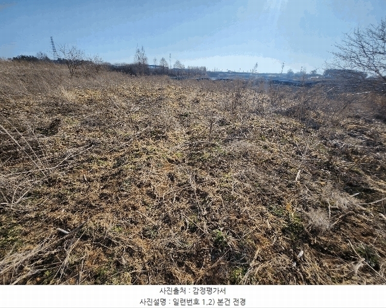 2025타경30986 전북특별자치도 김제시 백산면 상정리 373-7 농지 경매 이미지