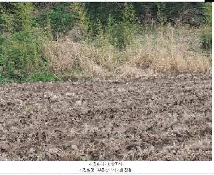 2025타경5234 전라남도 장흥군 장동면 북교리 483 농지 경매 이미지